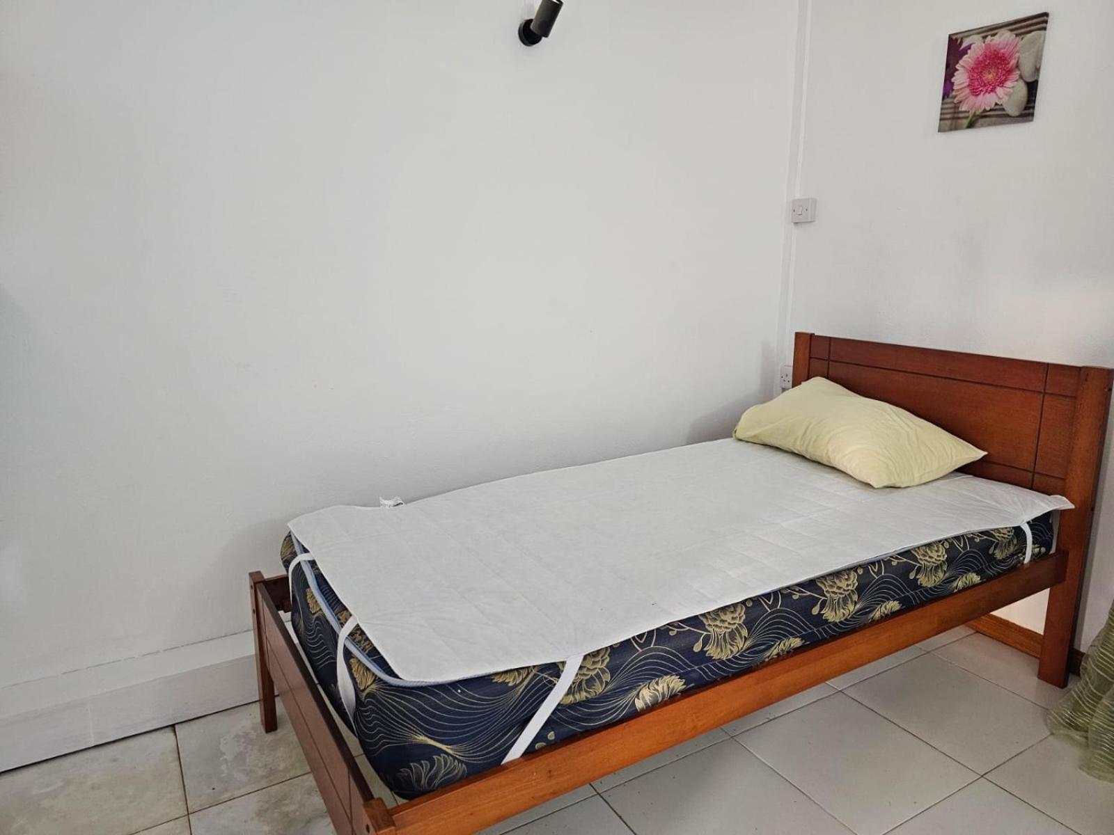 Apartment Les Badamiers Seafont - *